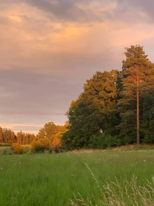 Willa Prijemna Chaloupka Na Trebonsku Chlum u Trebone Zewnętrze zdjęcie