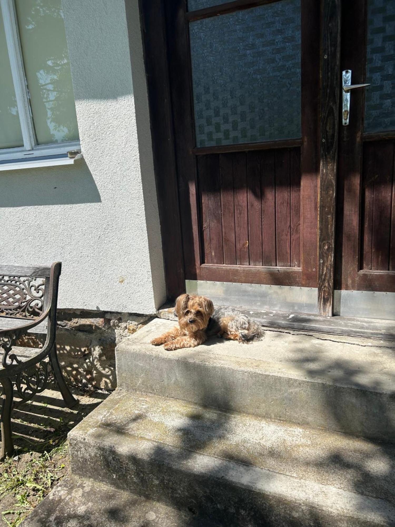 Willa Prijemna Chaloupka Na Trebonsku Chlum u Trebone Zewnętrze zdjęcie